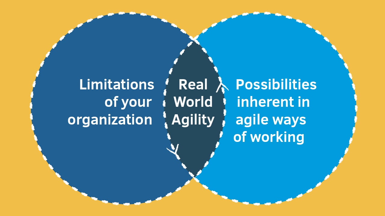 Real-world agility Ven Diagram
